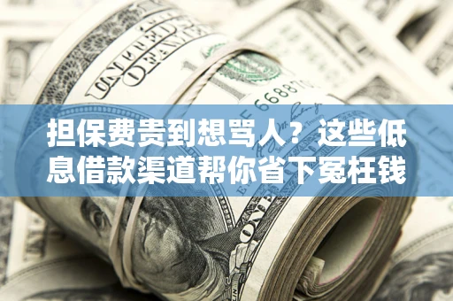 济南担保费贵到想骂人？这些低息借款渠道帮你省下冤枉钱