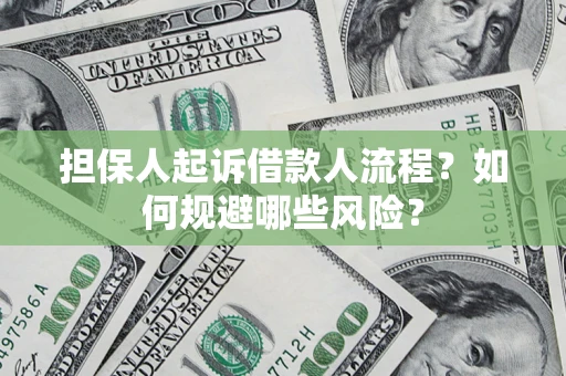 济南担保人起诉借款人流程？如何规避哪些风险？
