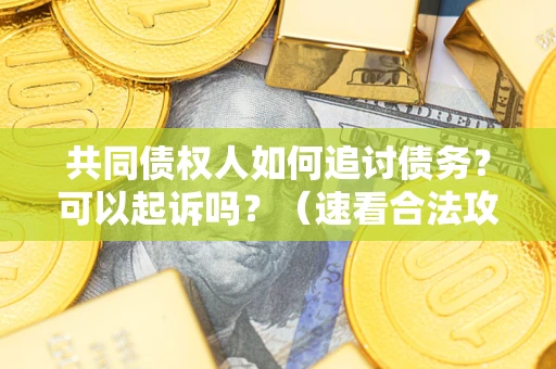 济南共同债权人如何追讨债务？可以起诉吗？（速看合法攻略）